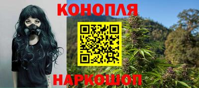 сатива Усть-Илимск