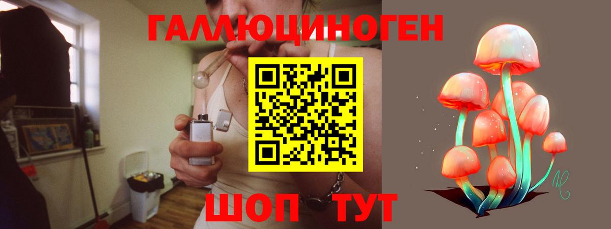 Галлюциногенные грибы прущие грибы  Вход с VPN  Галлюциногенные грибы прущие грибы  Муром 